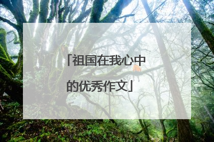 祖国在我心中的优秀作文