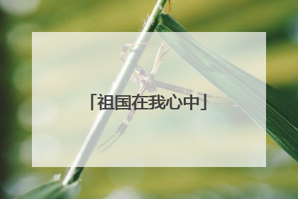祖国在我心中