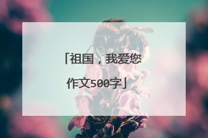 祖国，我爱您作文500字