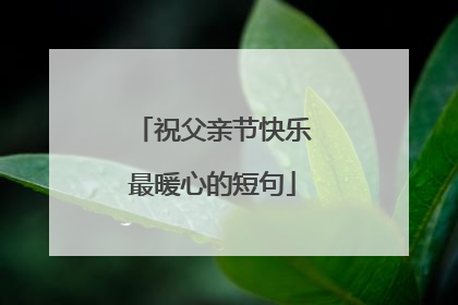 祝父亲节快乐最暖心的短句