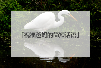 祝福爸妈的简短话语