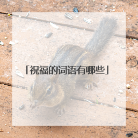 祝福的词语有哪些