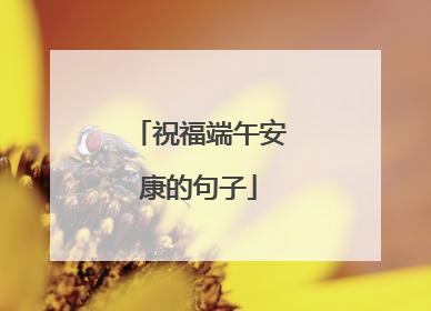 祝福端午安康的句子