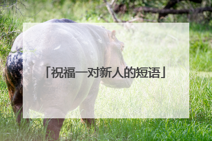 祝福一对新人的短语