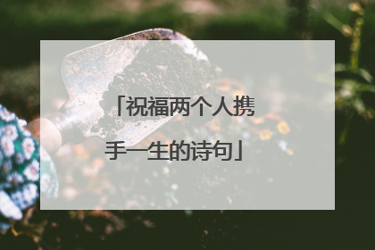 祝福两个人携手一生的诗句