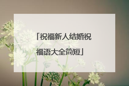 祝福新人结婚祝福语大全简短