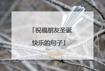 祝福朋友圣诞快乐的句子