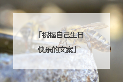 祝福自己生日快乐的文案