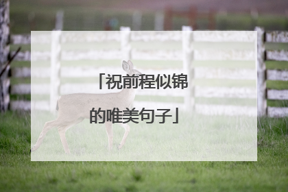 祝前程似锦的唯美句子