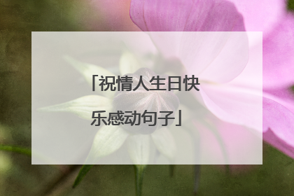 祝情人生日快乐感动句子