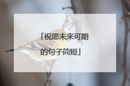 祝愿未来可期的句子简短