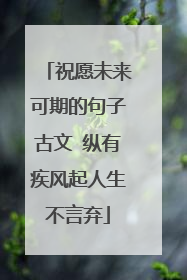 祝愿未来可期的句子古文 纵有疾风起人生不言弃