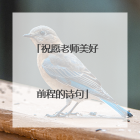 祝愿老师美好前程的诗句