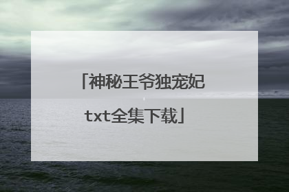 神秘王爷独宠妃txt全集下载