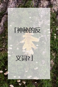 神秘的反义词?