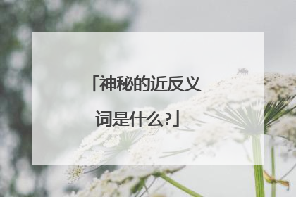 神秘的近反义词是什么?