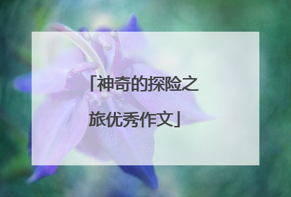 神奇的探险之旅优秀作文