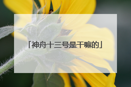 神舟十三号是干嘛的