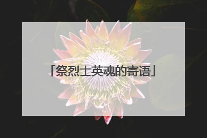 祭烈士英魂的寄语