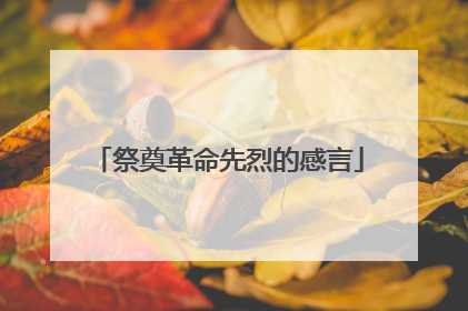 祭奠革命先烈的感言