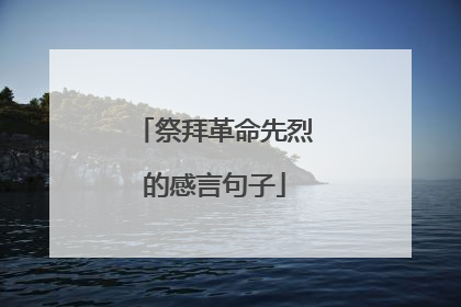 祭拜革命先烈的感言句子