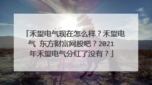 禾望电气现在怎么样?禾望电气 东方财富网股吧?2021年禾望电气分红了没有?