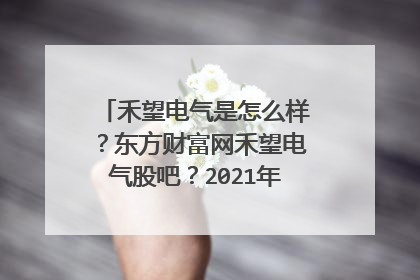 禾望电气是怎么样?东方财富网禾望电气股吧?2021年禾望电气会分红?