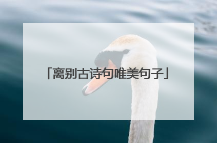 离别古诗句唯美句子