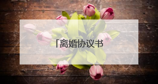 离婚协议书范本最新版