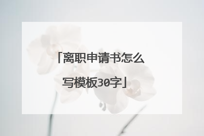 离职申请书怎么写模板30字