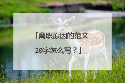 离职原因的范文20字怎么写?