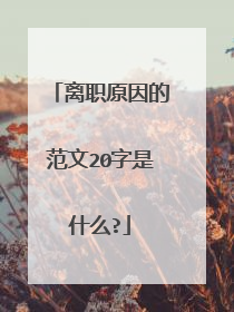 离职原因的范文20字是什么?