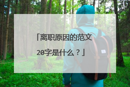 离职原因的范文20字是什么?