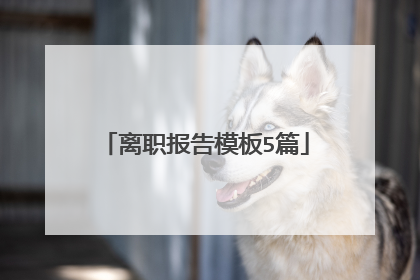 离职报告模板5篇