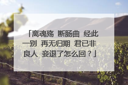 离魂殇 断肠曲 经此一别 再无归期 君已非良人 妾退了怎么回？