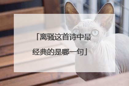 离骚这首诗中最经典的是哪一句