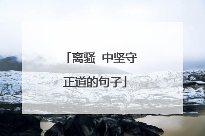 离骚 中坚守正道的句子