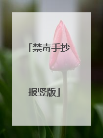禁毒手抄报竖版