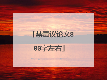 禁毒议论文800字左右