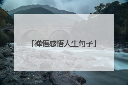 禅悟感悟人生句子