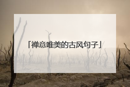 禅意唯美的古风句子