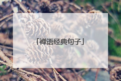 禅语经典句子