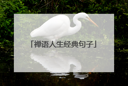 禅语人生经典句子