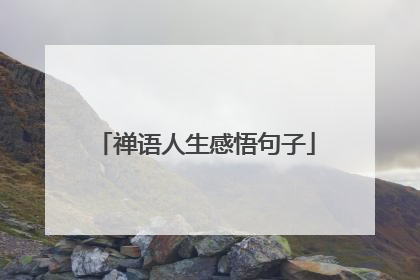 禅语人生感悟句子