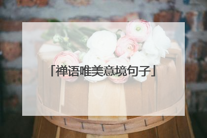 禅语唯美意境句子