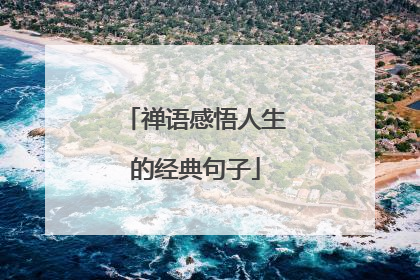 禅语感悟人生的经典句子