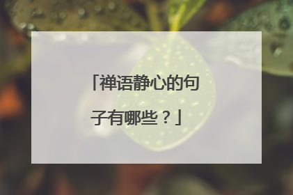 禅语静心的句子有哪些？