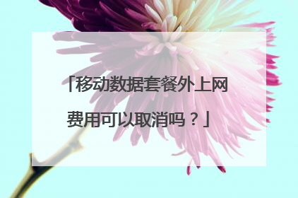 移动数据套餐外上网费用可以取消吗？