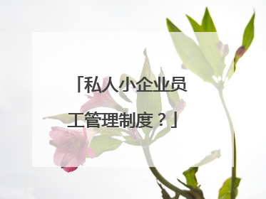 私人小企业员工管理制度？