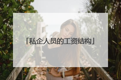 私企人员的工资结构